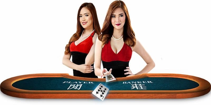 Vào Danhgianhacai lấy link khuyến mãi làm nhiệm vụ thưởng tiền